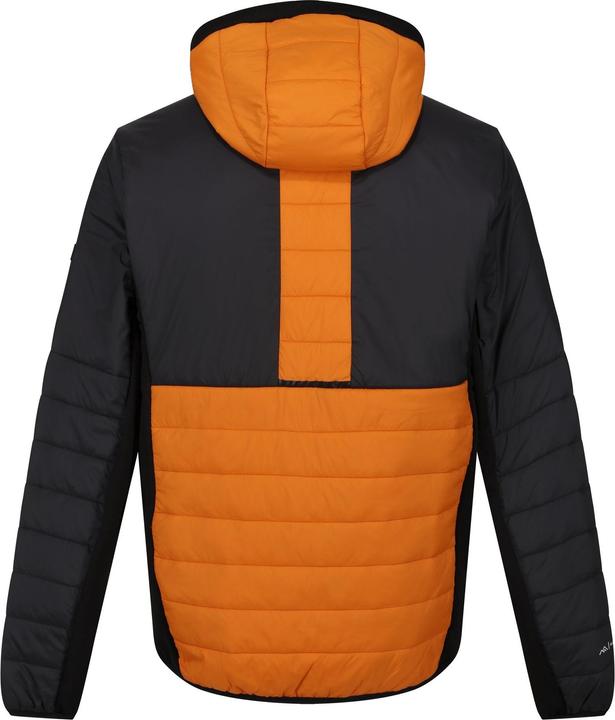 Image du produit Regatta - Veste matelassée TRUTTON - Homme (M)