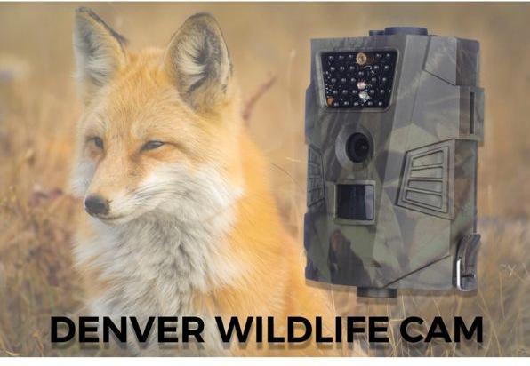 Produktbild Denver WCT-5001 Wildkamera