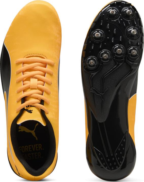 Produktbild Puma evoSPEED Prep Sprint 3.5 (42)