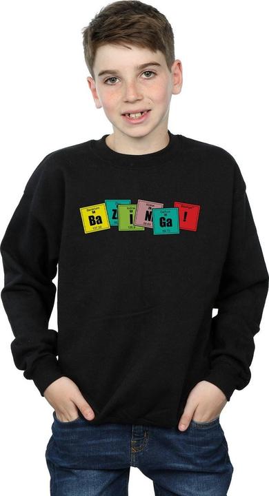Immagine prodotto Dam Bazinga Elements Felpa Ragazzi (152, 158)