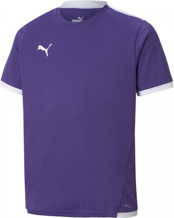 Image du produit Puma Maillot teamLIGA Jr-704925 (128)
