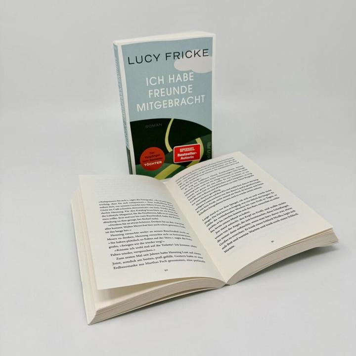 Produktbild Ich habe Freunde mitgebracht (Deutsch, Lucy Fricke, 2024)