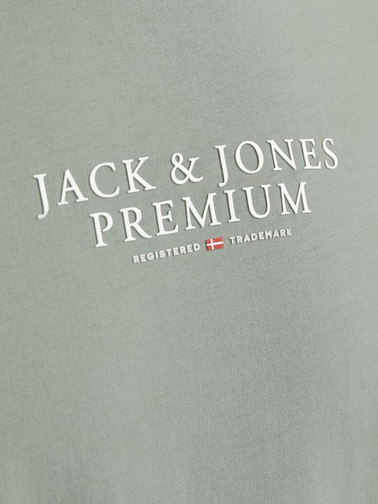 Actual product image Jack & Jones Jprbluarchie Ss Tee Crew Neck Noos (XXL)