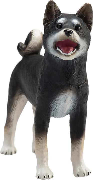 Image du produit Animal Planet Shiba Inu