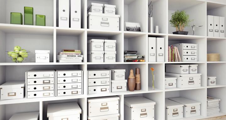 Actual product image Leitz WOW Click & Store magazine file (A4)