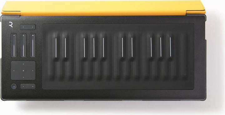 Actual product image Roli Seaboard RISE 25 Flip Case (Storage)