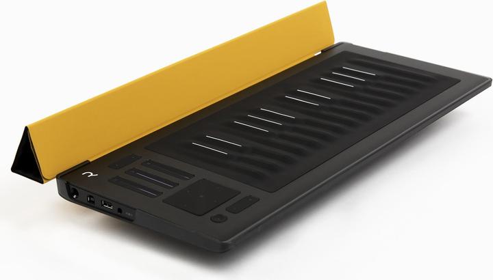 Actual product image Roli Seaboard RISE 25 Flip Case (Storage)
