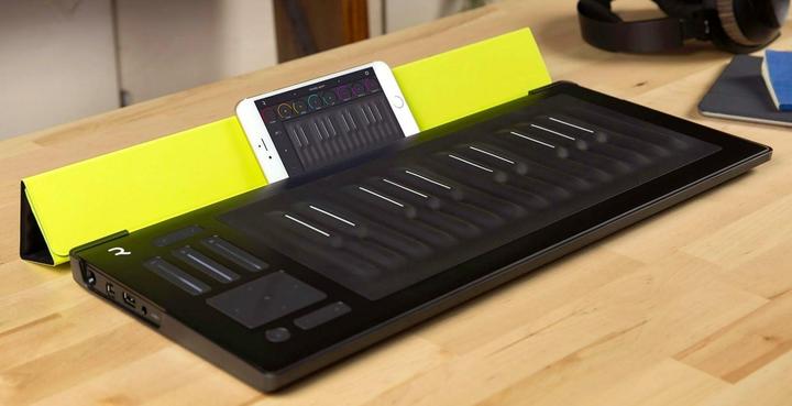 Actual product image Roli Seaboard RISE 25 Flip Case (Storage)