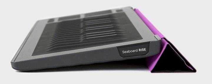 Actual product image Roli Seaboard RISE 25 Flip Case (Storage)