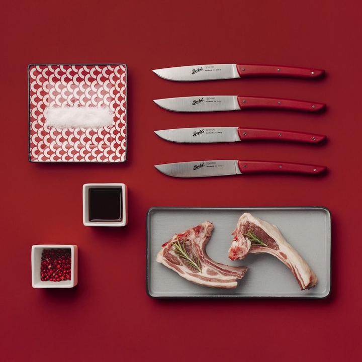 Actual product image Berkel Steak knife set (4 Piece, Knife)