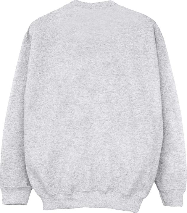 Produktbild Disney The Lion King Future King Sweatshirt Jungen (140, 146)