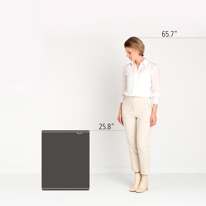 Actual product image Brabantia Bo Waste Bin (60 l)