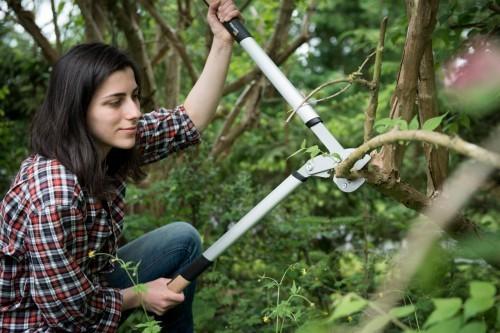 Produktbild Fiskars Astschere Amboss Quantum, 80 c