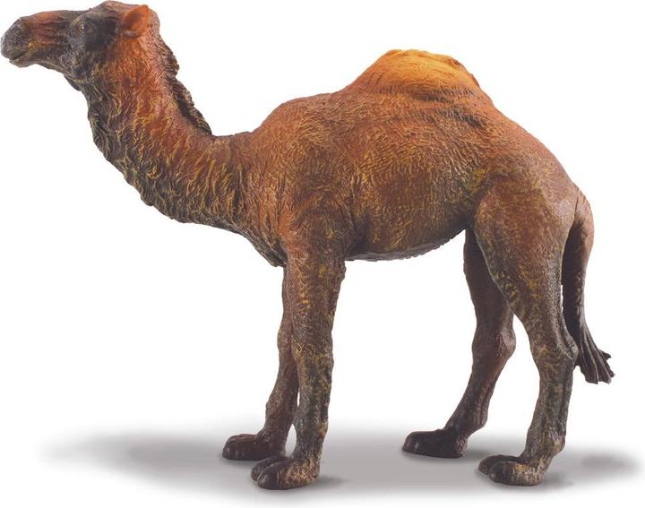 Actual product image Collecta DROMEDAR (L)