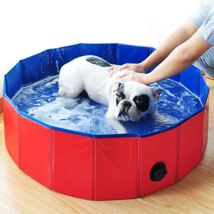 Immagine prodotto PETS Collection Piscina per cani (Piscina per cani)