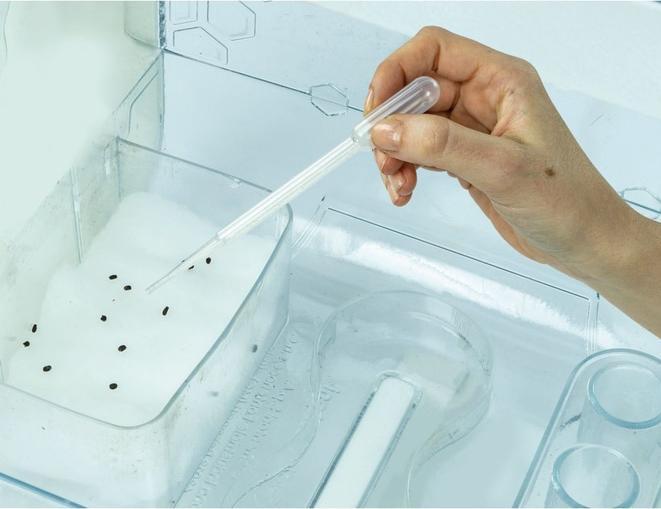 Actual product image Clementoni Hith Tech Greenhouse