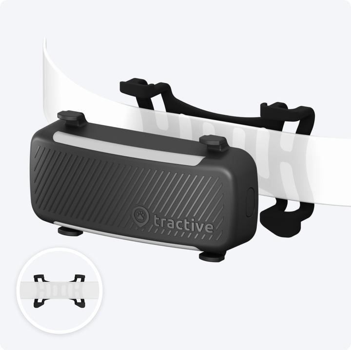 Actual product image Tractive GPS Tracker Dog 6 (Dog, Walks)