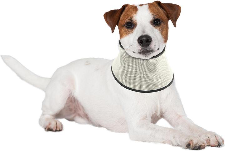 Actual product image Swisspet Cooling scarf (M, Dog bandana)