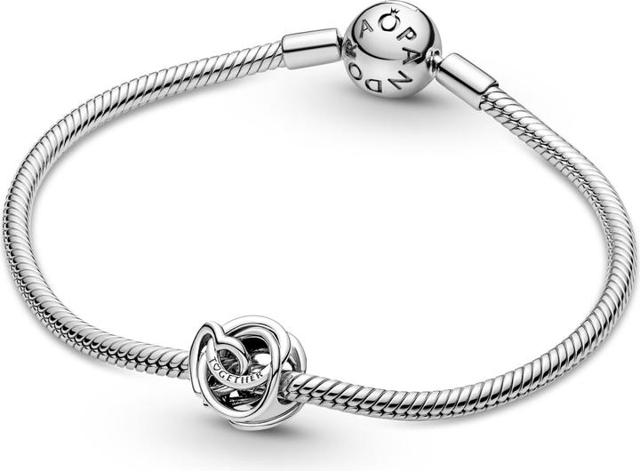 Actual product image Pandora Charm Family Forever (Sterling silver 925)