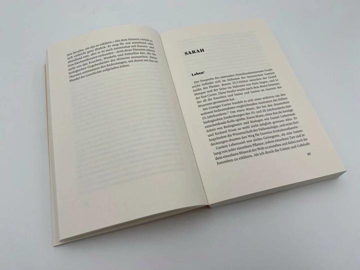 Produktbild Vom Hintern (Deutsch, Heather Radke, Viola Krauss, 2023)