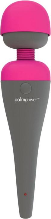 Palmpower Masseur