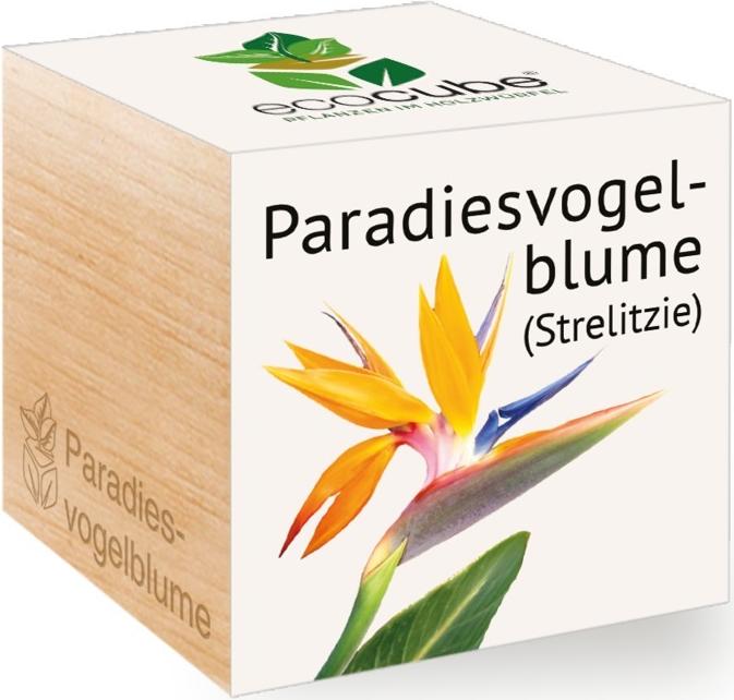 Produktbild Feel Green Paradiesvodelblume (Blumensamen)