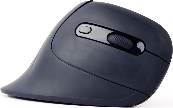 Image du produit Gembird Souris ergonomique 6 boutons noire (Sans fil)