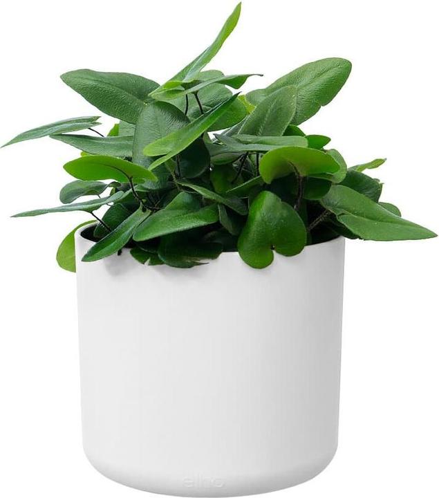 Immagine prodotto Elho b.for soft (13.80 cm)
