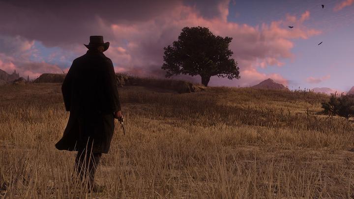 Actual product image Rockstar Red Dead Redemption 2 (PS4, DE)