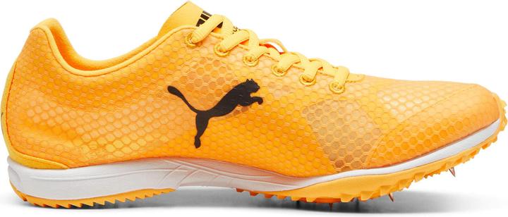 Produktbild Puma evoSPEED Haraka 8 Unisex (12)