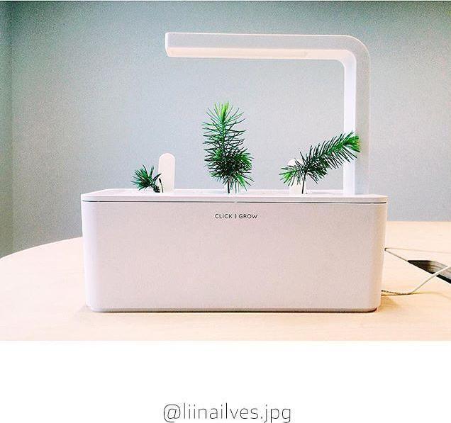 Immagine prodotto Click and Grow Kit sperimentale (Germogli)
