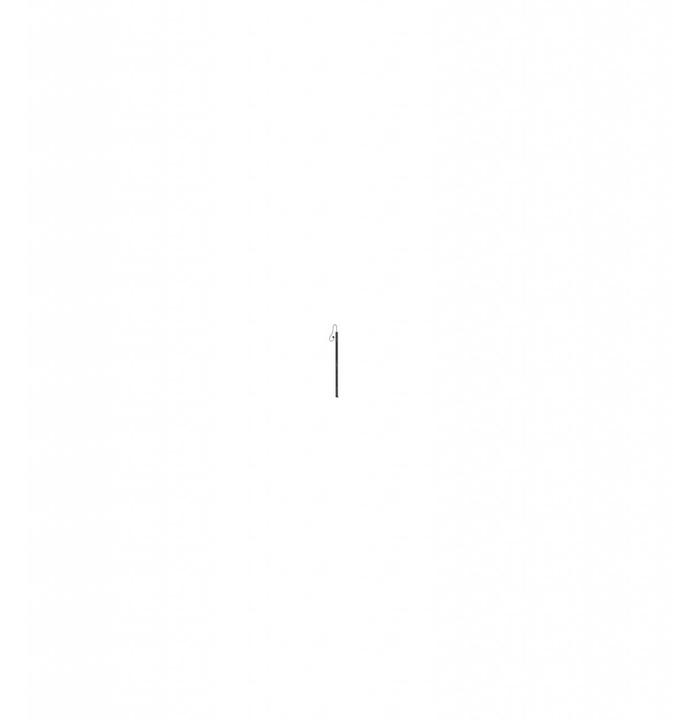 Actual product image APC Power strip PDU AP7551