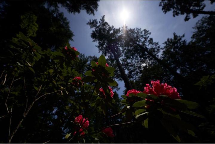 Actual product image Sigma 14-24mm F2.8 DG DN, Sony E (Sony E, full size)