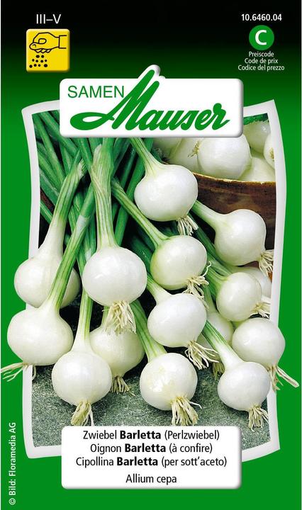 Produktbild Samen Mauser Zwiebelsame Barletta (Perlzwiebeln) (Blumenzwiebel)