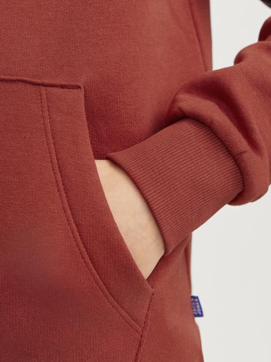 Actual product image Jack & Jones JJELOGO SWEAT HOOD 2 COL 24/25 NOOS MNI (98)