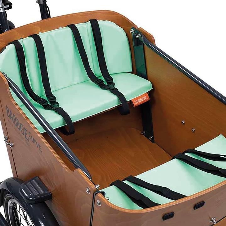 Actual product image Babboe Minty Green