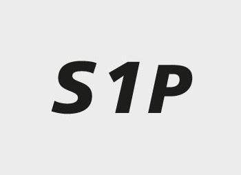 Produktbild Baak Sicherheitssandale S1P ESD René 2 (S1P, 43)