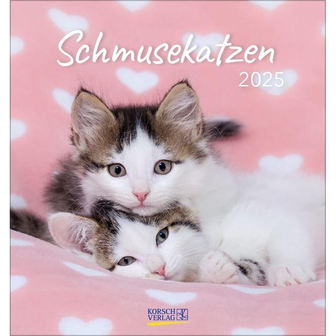 Produktbild Schmusekatzen 2025 (17 x 16 cm, Deutsch)