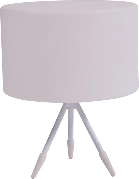 Actual product image Life Lamp Model A