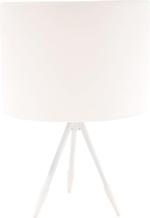 Actual product image Life Lamp Model A