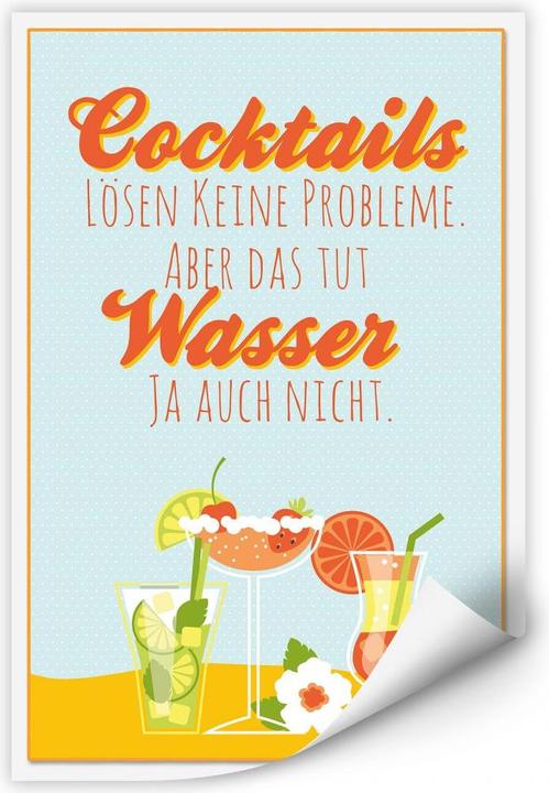 Image du produit Trenddeko Les cocktails ne résolvent pas les problèmes... (50 x 80 cm)