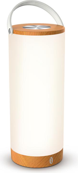 Taotronics TT-DL23 In- & Outdoor light (300 lm)