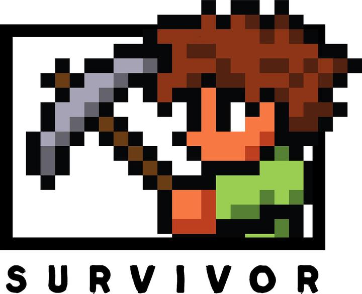 Image du produit Terraria - Sweat à capuche SURVIVOR - Adulte (XL)