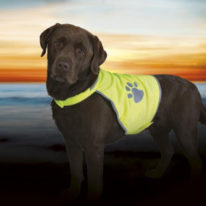 Actual product image Trixie Safety vest for dogs (S, Dog vest)