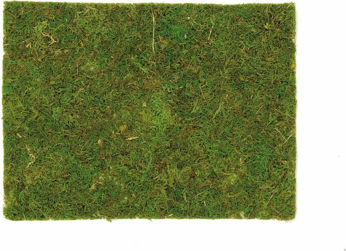 Image du produit Glorex Plaque de mousse 30x20cm