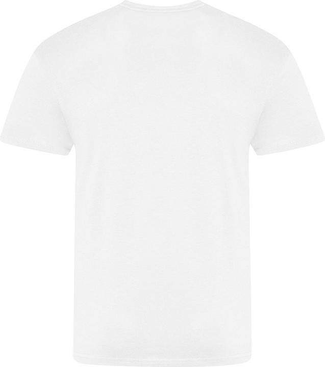 Image du produit Awdis The 100 Tshirt (M)