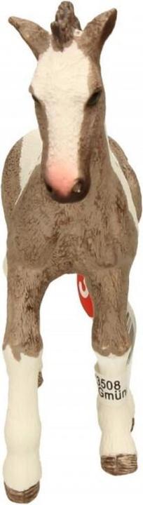 Produktbild Schleich Tinker Fohlen