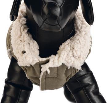 Actual product image Designed by Lotte Dog coat Philos (XXXXL, Dog coat)