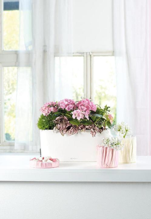 Image du produit Lechuza Delta (15 cm)