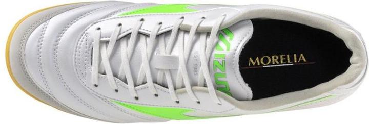 Actual product image Mizuno Morelia Sala Pro In (44.5)